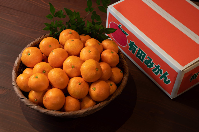 ［全2回・毎月発送］お一人様用採れたて甘い手摘み有田みかん&nbsp;1.5kg（15個前後）&nbsp;S～Lサイズの不揃い