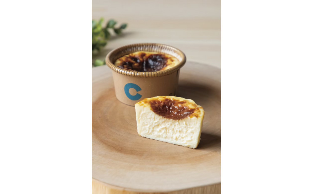 箱根発！なめらか濃厚バスクチーズケーキ 箱根チーズテラス・カプチ 【定番6個セット】