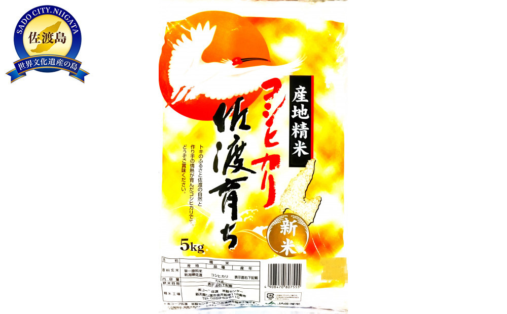 「令和7年産」コシヒカリ　佐渡育ち　５kg