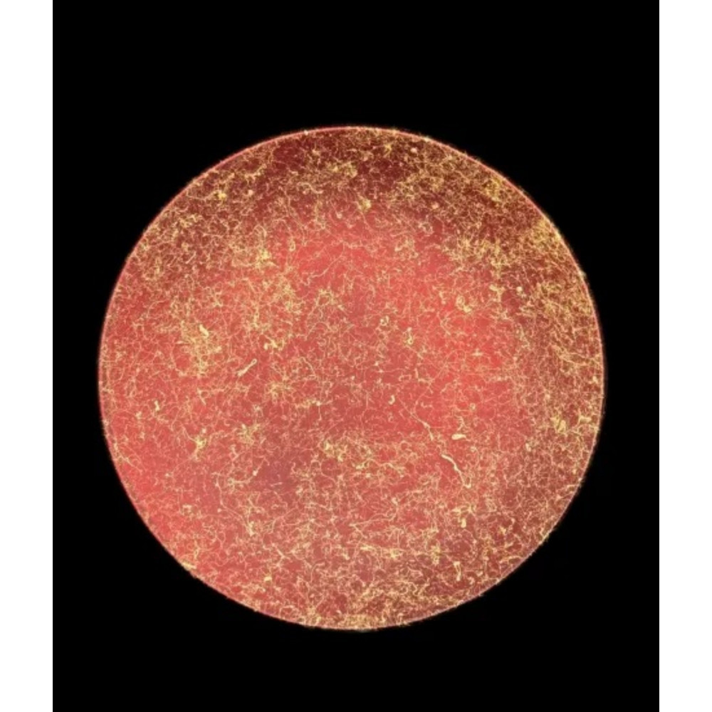 フラットプレート（D）乱糸（マット仕上げ）赤溜［NF107］