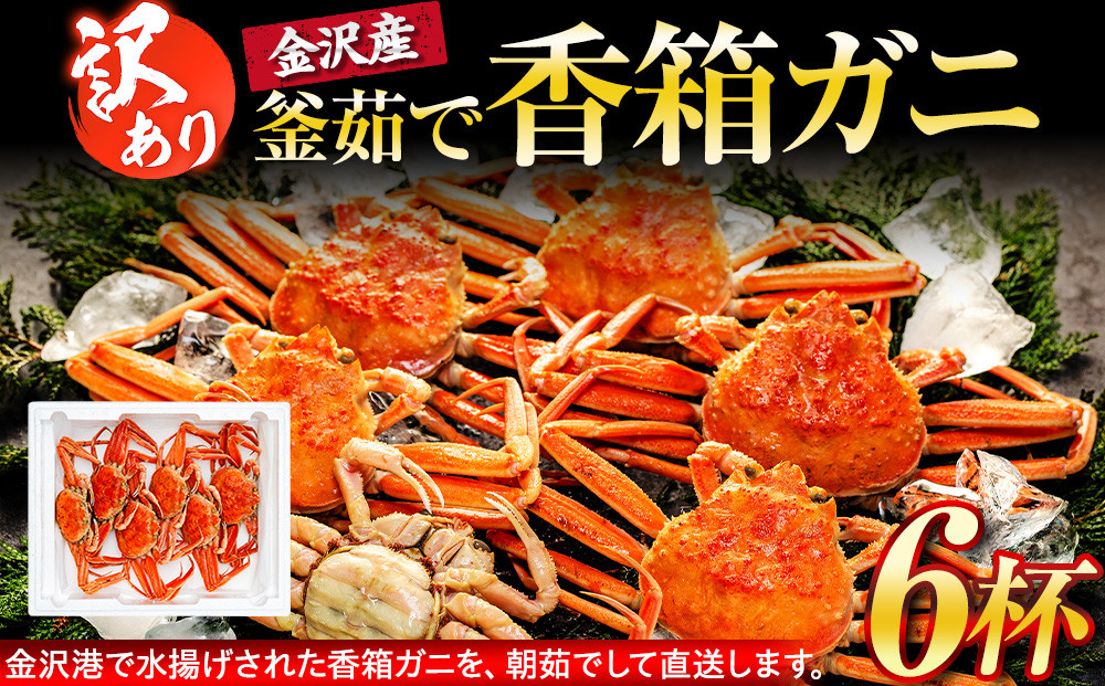 【訳あり】 金沢港より直送！ ボイル 香箱ガニ 6杯セット 釜茹で 冷蔵 2025年発送 | かに カニ 水産 食品 冷蔵 発送 蟹 セコガニ せいこガニ ふるさと納税 返礼品 石川名物 お取り寄せ 海産物 冬季限定 新鮮 海の幸 魚介類 海鮮 グルメ 贈り物 特産品 お祝い お取り寄せ 通販 送料無料 ふるさと納税  石川 金沢 加賀 百万石 北陸 北陸復興