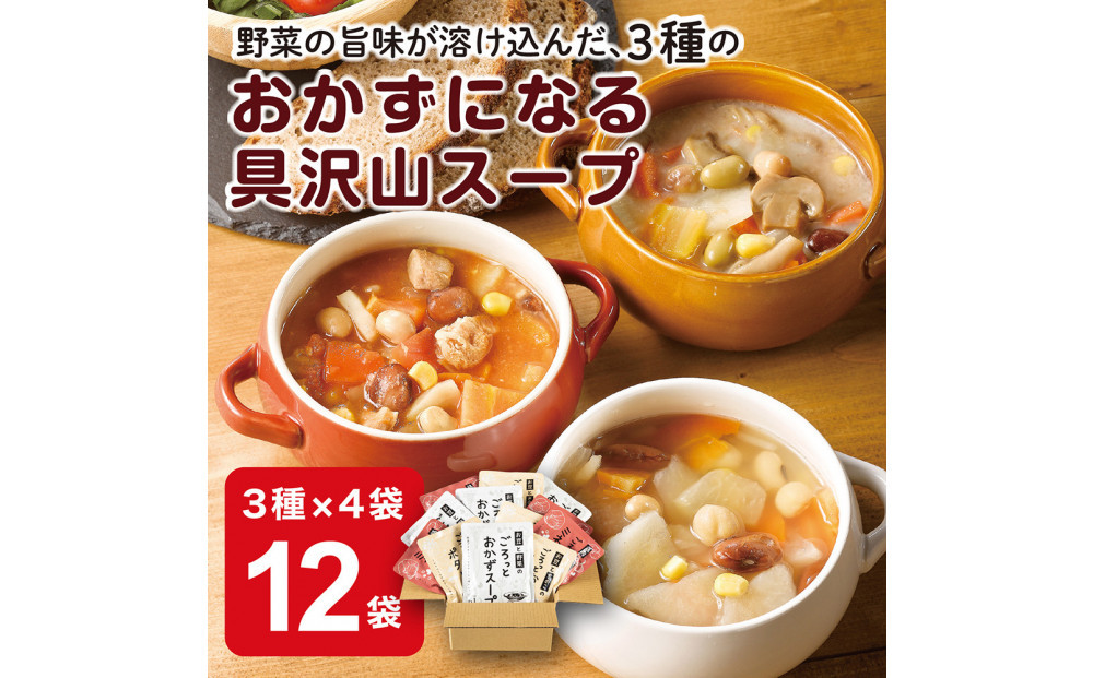 3種のごろっとおかずスープセット　12袋(3種×4袋)　