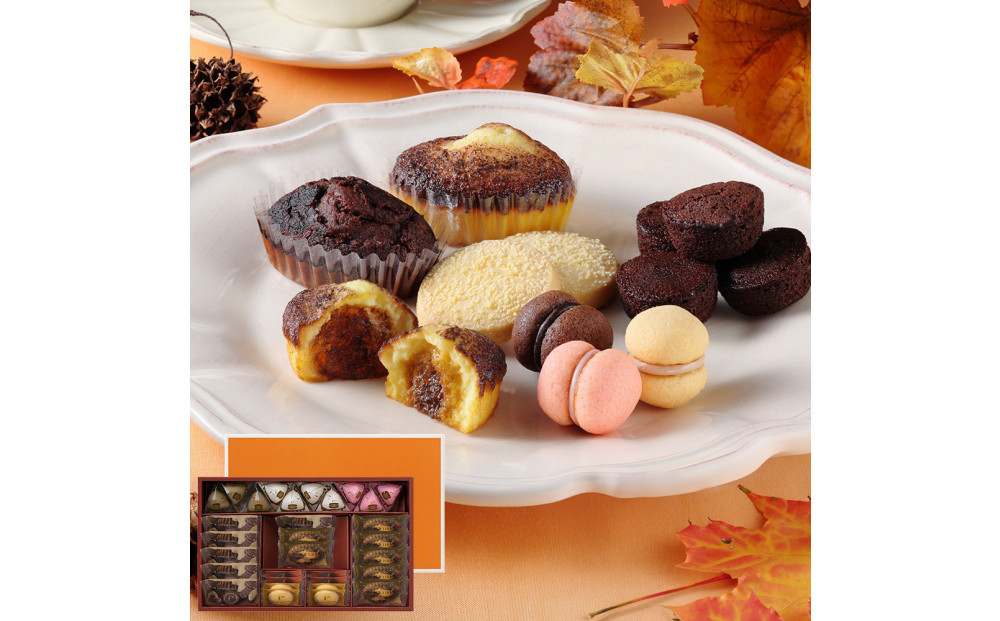 【季節限定】＜シーキューブ＞ティラミス・ファンタジスタ　M　CAS(TF)-40