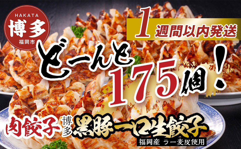 【1週間以内に発送】【175個!!】【福岡ブランド】博多黒豚一口生餃子&nbsp;7パック小分　福岡県産ラー麦皮使用　創業40年以上福岡会社製造　