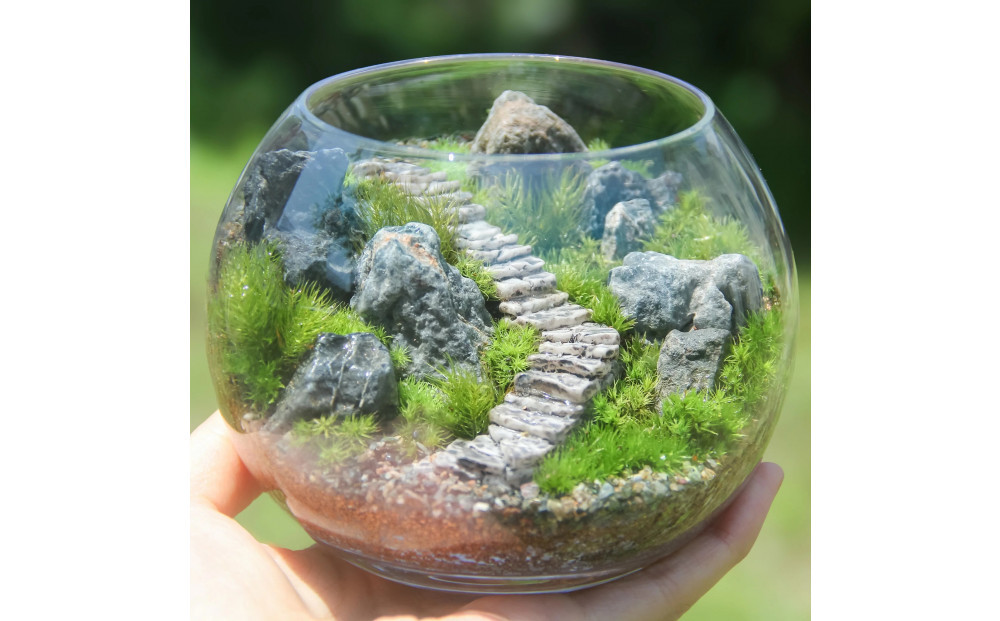 《苔テラリウム・コケリウム》階段の風景&nbsp;ボウルLL