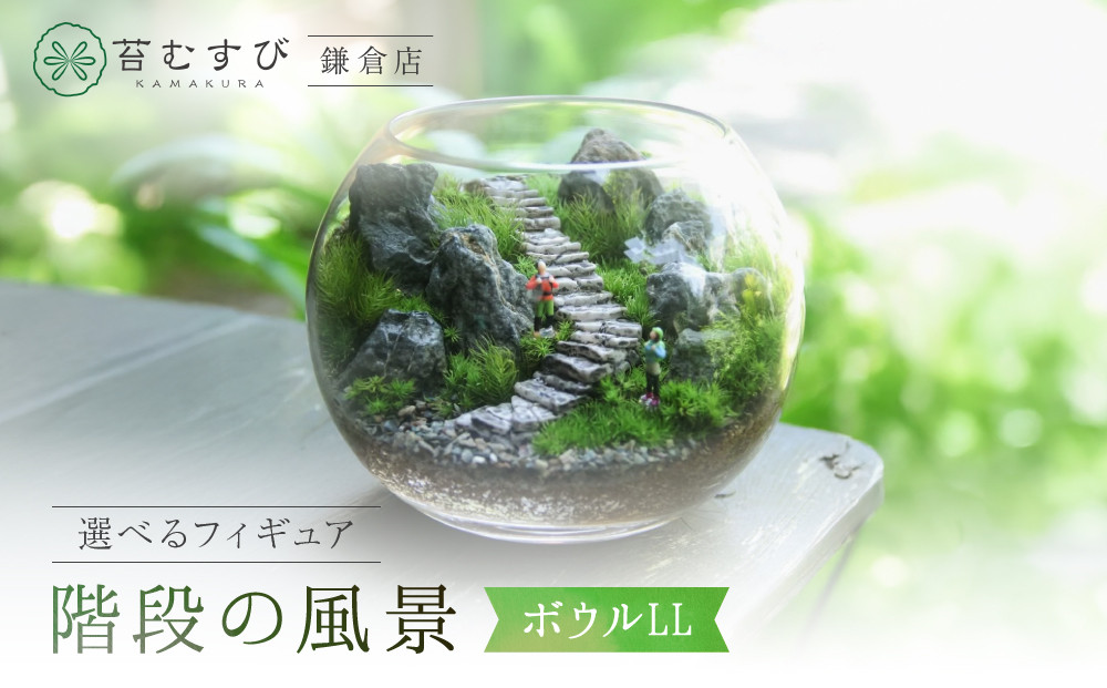 《苔テラリウム・コケリウム》階段の風景&nbsp;ボウルLL