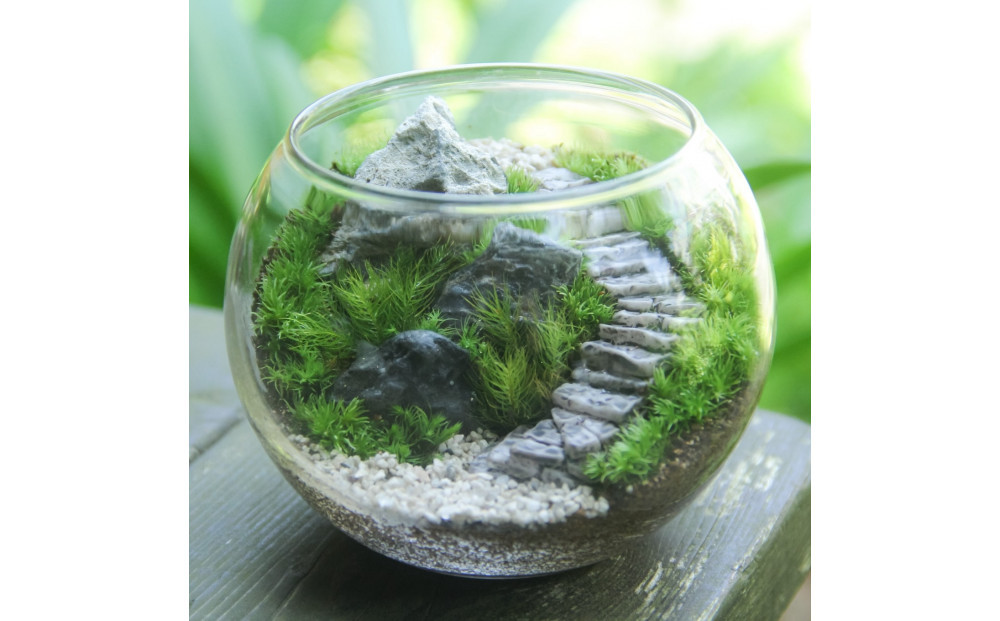 《苔テラリウム・コケリウム》階段の風景&nbsp;ボウルL
