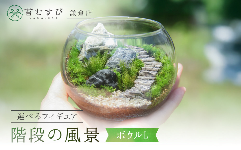 《苔テラリウム・コケリウム》階段の風景&nbsp;ボウルL