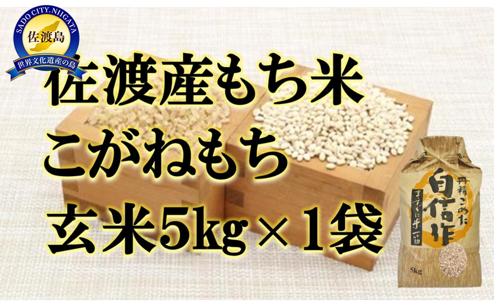 【令和7年産】佐渡産もち米&nbsp;こがねもち&nbsp;玄米5kg×1袋