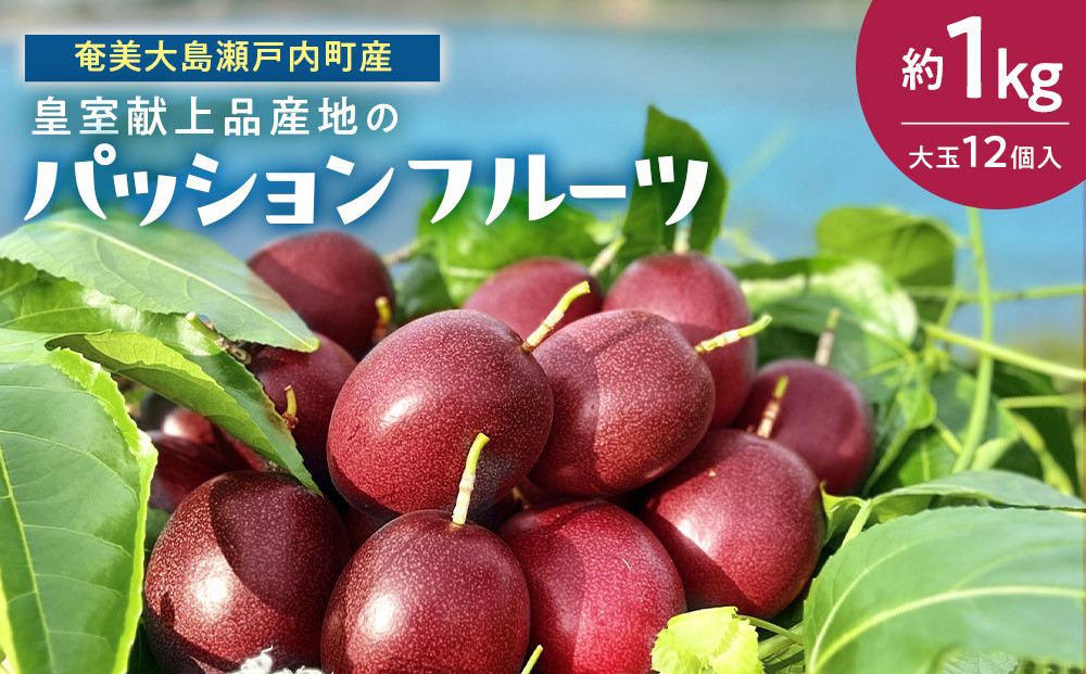 【2026年発送】《皇室献上品産地のパッションフルーツ》奄美大島瀬戸内町産　大玉12個入り／約1kg【先行予約&nbsp;2026年&nbsp;果物&nbsp;フルーツ&nbsp;くだもの&nbsp;パッションフルーツ&nbsp;南国&nbsp;産地直送&nbsp;甘み&nbsp;奄美&nbsp;鹿児島&nbsp;瀬戸内町】