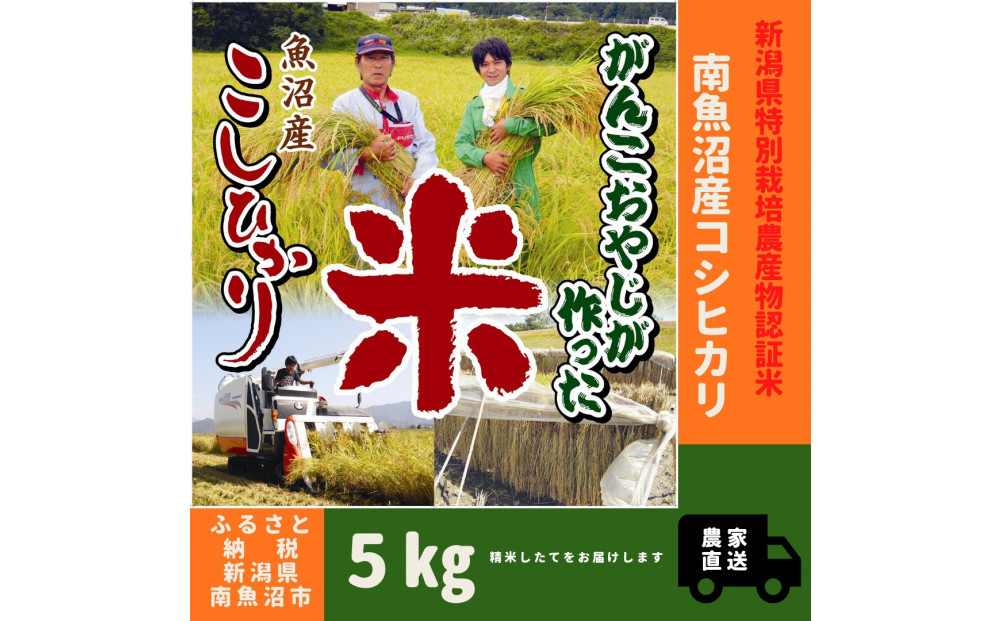 【令和７年産】特別栽培米　がんこおやじが作った南魚沼産コシヒカリ&nbsp;白米5kg
