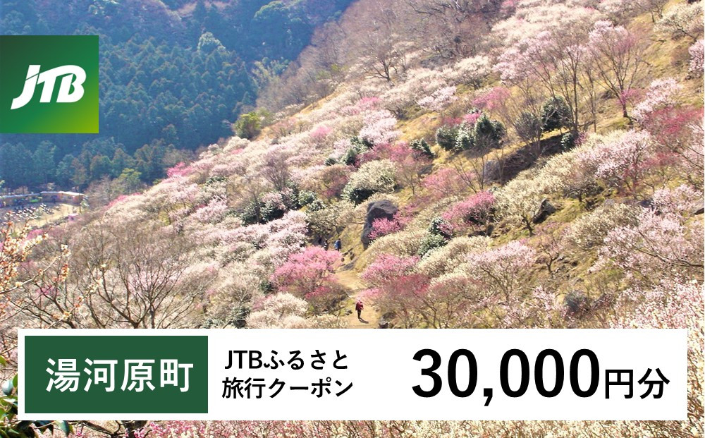【湯河原町】JTBふるさと旅行クーポン（30,000円分）有効期間3年（Eメール発行）｜旅行 トラベル 予約 国内旅行 JTB 宿泊 観光 体験 旅行券 宿泊券 旅行予約 温泉 ホテル 旅館 チケット 子供 子連れ カップル 家族 人気 おすすめ 旅行クーポン 店頭 オンライン ネット予約 電話 有効期間3年