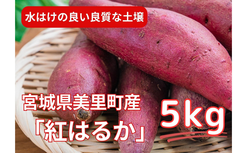 【お得な訳あり！】　さつまいも　紅はるか5kg