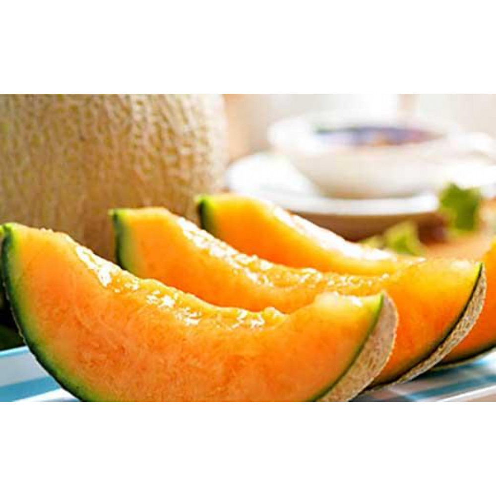 ★2026年夏発送★&nbsp;岸田農園産&nbsp;北海道メロン&nbsp;1玉入り(サイズ:1.8kg以上)【&nbsp;果物&nbsp;メロン&nbsp;フルーツ&nbsp;北海道&nbsp;上川町&nbsp;岸田農園&nbsp;甘いジューシー&nbsp;季節限定&nbsp;甘みたっぷり&nbsp;メロンギフト&nbsp;産地直送&nbsp;くだもの&nbsp;】