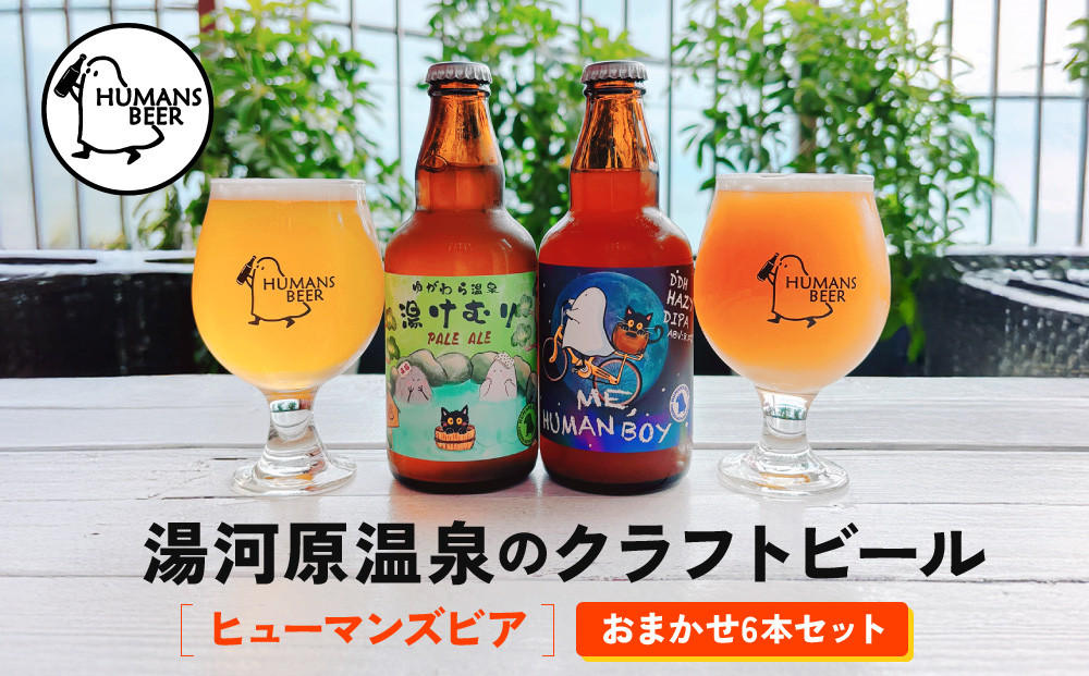 湯河原温泉のクラフトビール【ヒューマンズビア】おまかせ6本セット&nbsp;|&nbsp;湯河原町&nbsp;湯河原温泉&nbsp;クラフトビール&nbsp;おまかせセット&nbsp;醸造所
