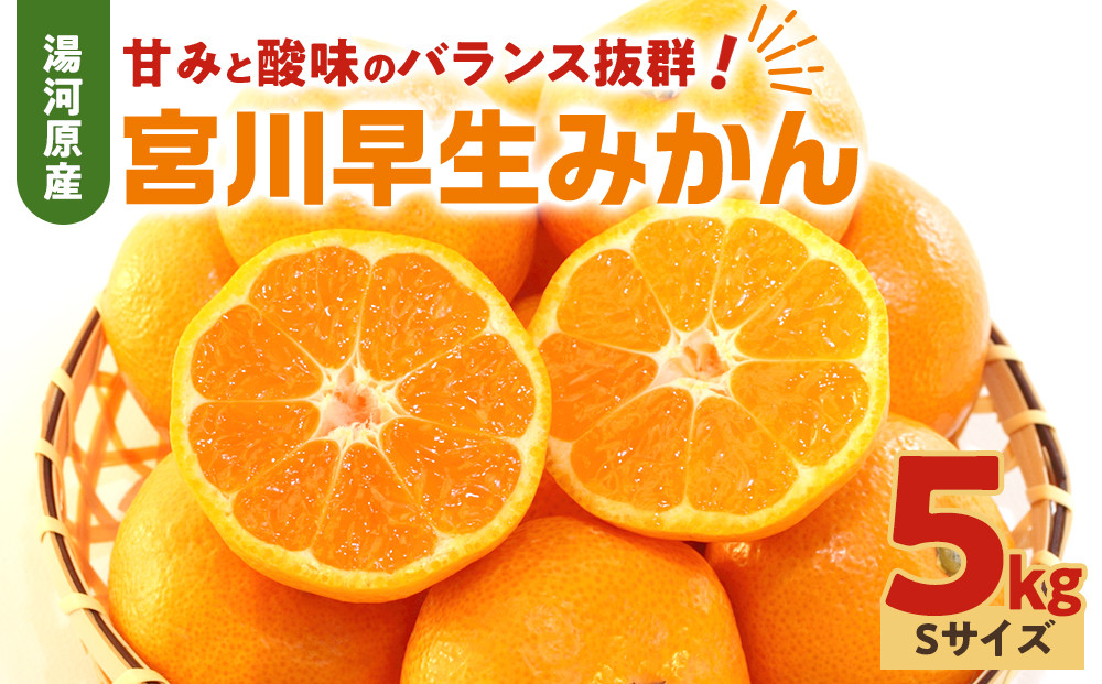 甘みと酸味のバランス抜群・宮川早生みかん　5kg(Sサイズ)&nbsp;　2026年11月中旬～下旬頃に発送予定|&nbsp;湯河原町&nbsp;Sサイズ&nbsp;5kg&nbsp;宮川早生みかん&nbsp;果物&nbsp;旬&nbsp;みかん&nbsp;フレッシュ