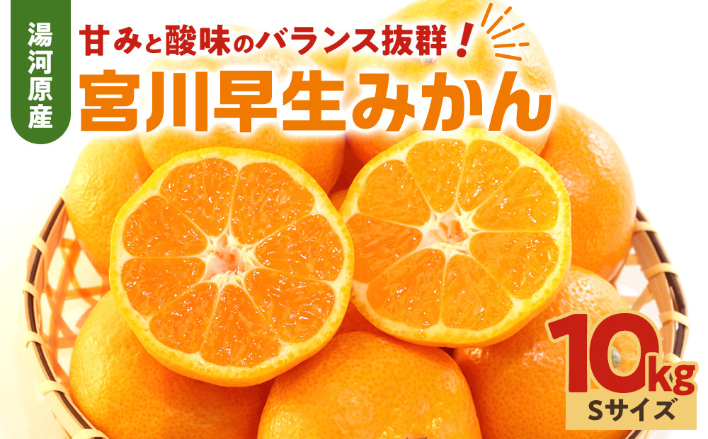 甘みと酸味のバランス抜群・宮川早生みかん　10kg(Sサイズ)　2026年11月中旬～下旬頃に発送予定&nbsp;|&nbsp;湯河原町&nbsp;Sサイズ&nbsp;10kg&nbsp;柑橘類&nbsp;フルーツ&nbsp;宮川早生みかん&nbsp;旬
