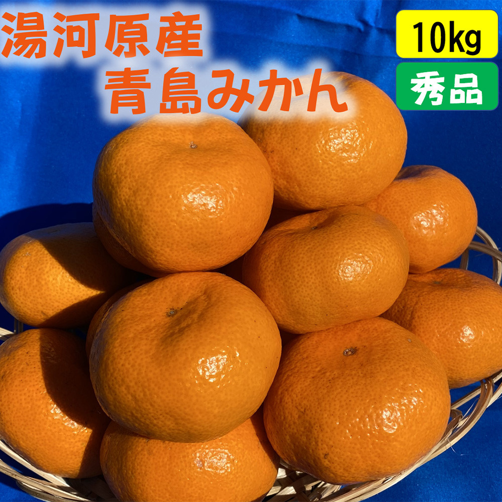年末年始にも楽しめる　早出し　青島みかん　10kg　2025年12月21日頃～年内に発送