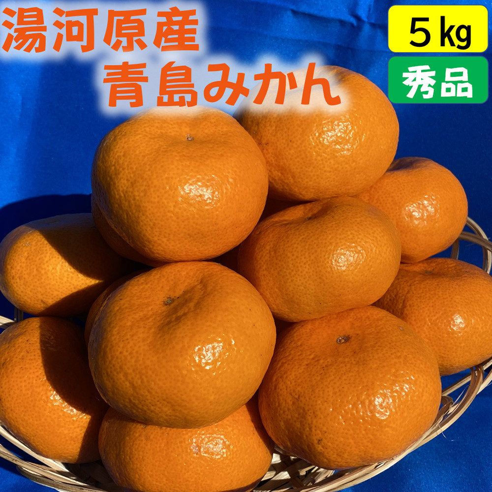 年末年始にも楽しめる　早出し　青島みかん　5kg　　2025年12月21日頃～年内に発送