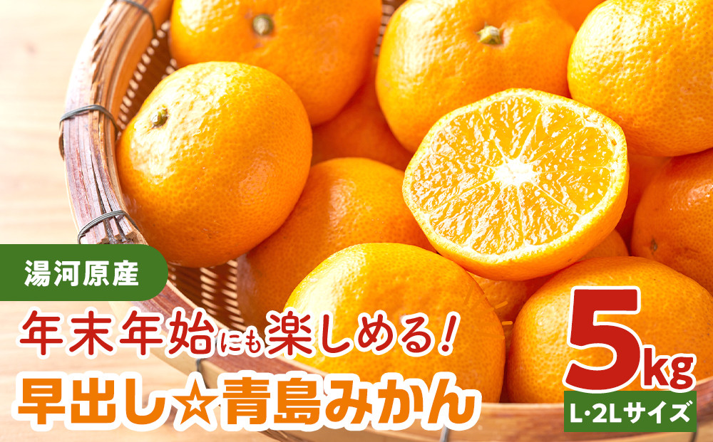 年末年始にも楽しめる　早出し　青島みかん　5kg　　2025年12月21日頃～年内に発送&nbsp;|&nbsp;湯河原町&nbsp;青島みかん&nbsp;5kg&nbsp;フルーツ&nbsp;蔵出し貯蔵&nbsp;濃厚