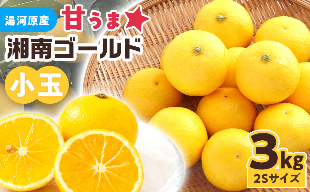 【希少フルーツ】甘ウマ☆小玉・湘南ゴールド(2Sサイズ)　3kg　2026年2月下旬～3月中旬頃発送予定&nbsp;|&nbsp;湯河原町&nbsp;小玉&nbsp;2Sサイズ&nbsp;3kg&nbsp;種なし&nbsp;柑橘類&nbsp;地域特産品