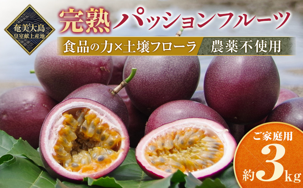 先行受付【農薬・除草剤不使用】奄美大島農家直送　樹上完熟パッションフルーツ３kg&nbsp;|&nbsp;先行予約&nbsp;産地直送&nbsp;パッションフルーツ&nbsp;フルーツ&nbsp;果物&nbsp;南国&nbsp;新鮮&nbsp;甘み&nbsp;奄美大島