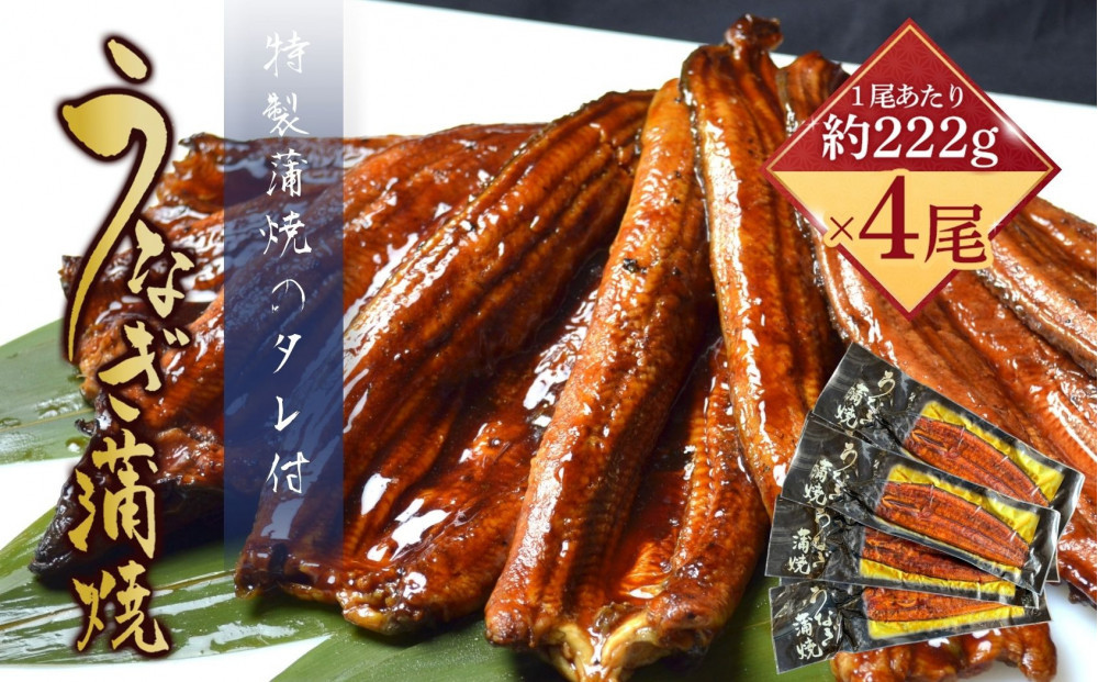うなぎ蒲焼（中国産222g×4尾）