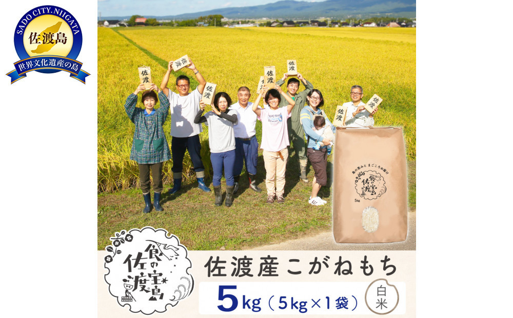 【新米】佐渡島産 こがねもち 精米 5Kg