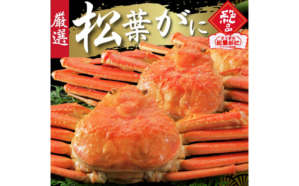 松葉がに タグ付き（茹で）中サイズ 1枚