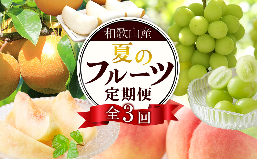 定期便全3回&nbsp;【7月・8月・9月発送】&nbsp;和歌山の夏のフルーツをお届け（桃・梨・シャインマスカット）&nbsp;［TM224］