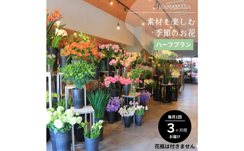 素材を楽しむ季節のお花＊ハーフ＊(全3回)|&nbsp;花&nbsp;記念&nbsp;誕生日&nbsp;サプライズ&nbsp;ギフト&nbsp;プレゼント&nbsp;神奈川県&nbsp;小田原市&nbsp;