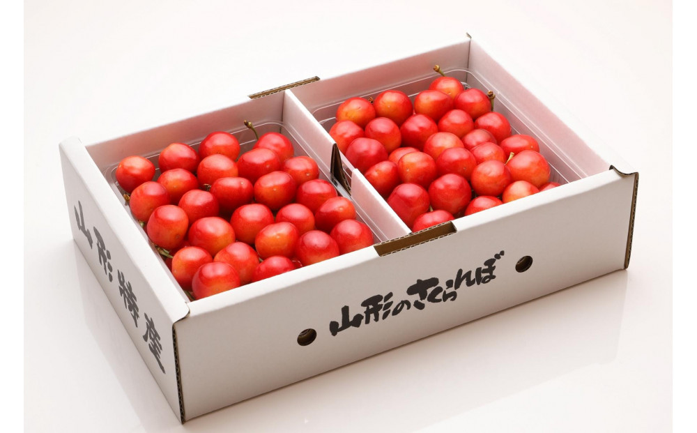 【2026年発送】佐藤錦　約500g×2P（L～2L）特秀　バラ詰め