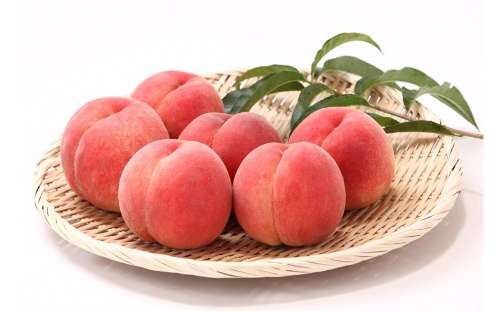 【2026年発送】大人気！夏の収穫白桃　約2kg