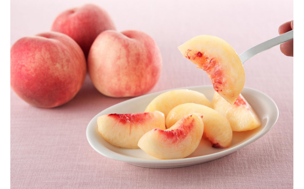 【2026年発送】大人気！夏の収穫白桃　約3kg