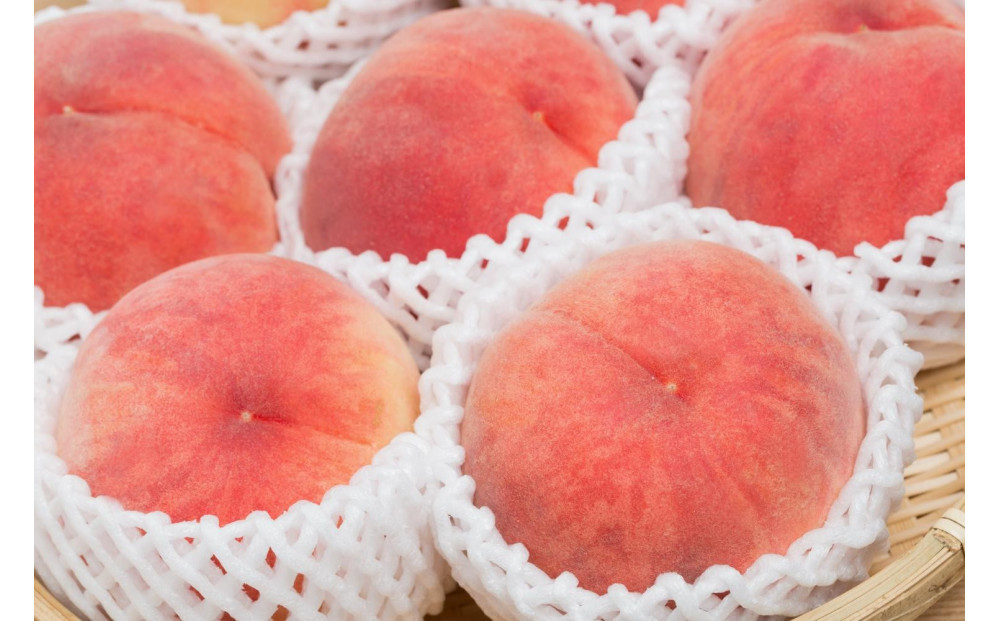 【2026年発送】大人気！夏の収穫白桃　約5kg