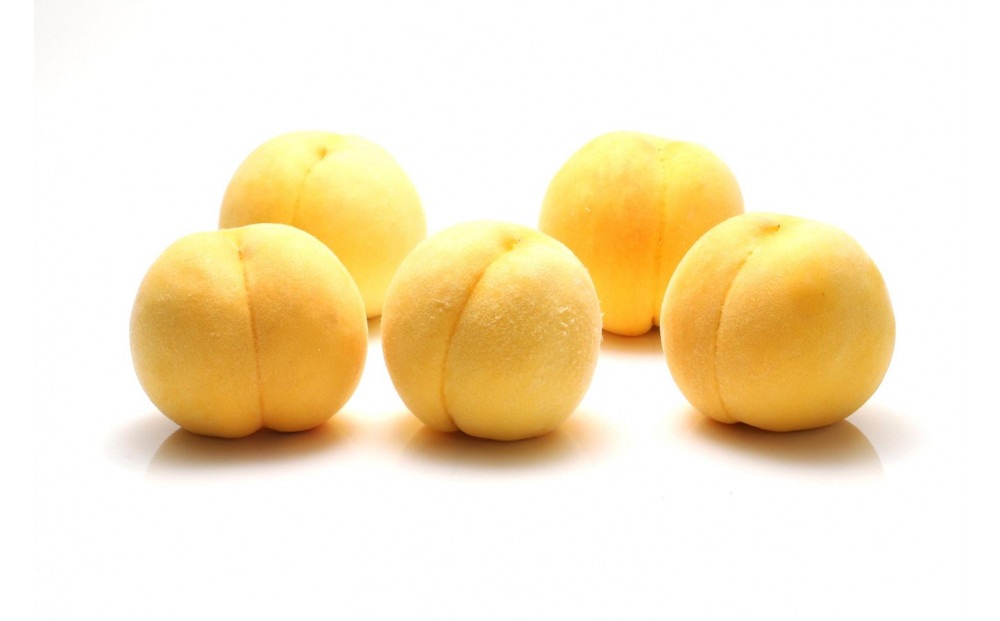 【2026年発送】一度は食べてみたい！黄桃　約３kg（7～12玉）