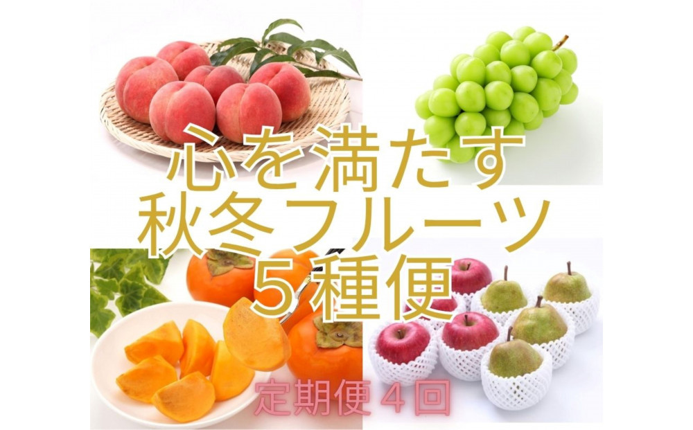 2026年度発送【定期便４回&nbsp;】心を満たす秋冬フルーツ５種便