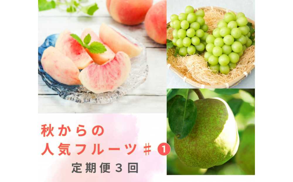 2026年度発送【定期便&nbsp;３回&nbsp;】秋からの人気フルーツ&nbsp;＃１