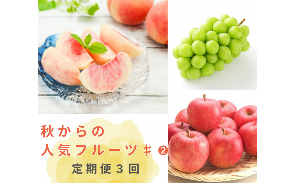 2026年度発送【定期便&nbsp;３回&nbsp;】秋からの人気フルーツ&nbsp;#２