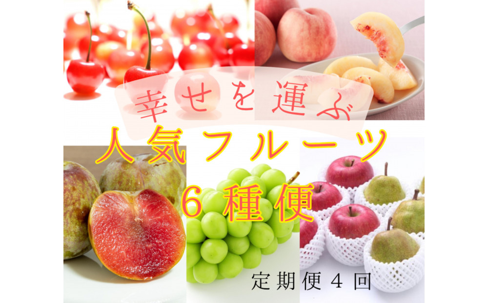 2026年度発送【定期便４回】 幸せを運ぶ人気フルーツ６種便