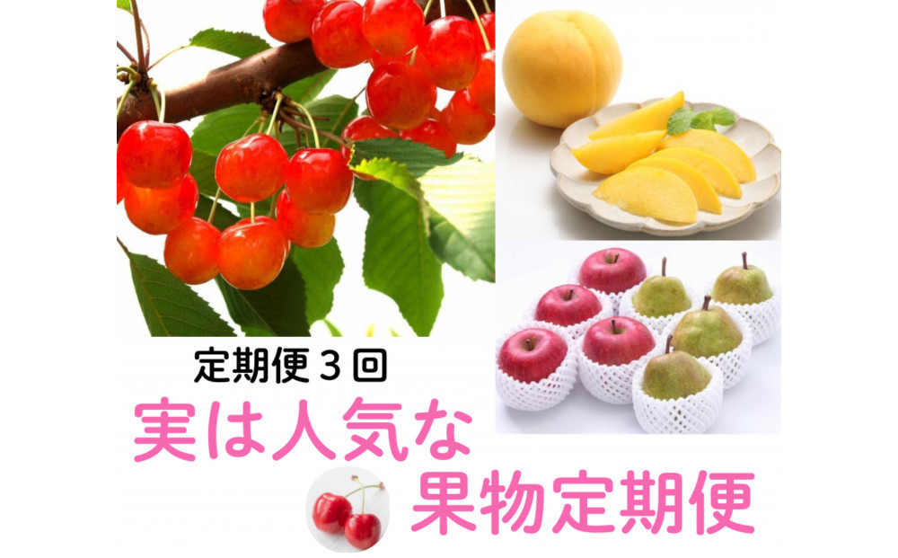 2026年度発送 【定期便3回】 実は人気な果物定期便