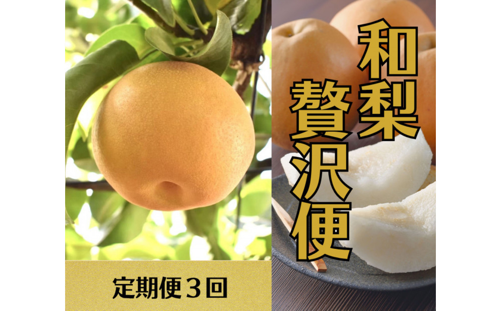 2026年度発送 【定期便3回】 和梨贅沢便