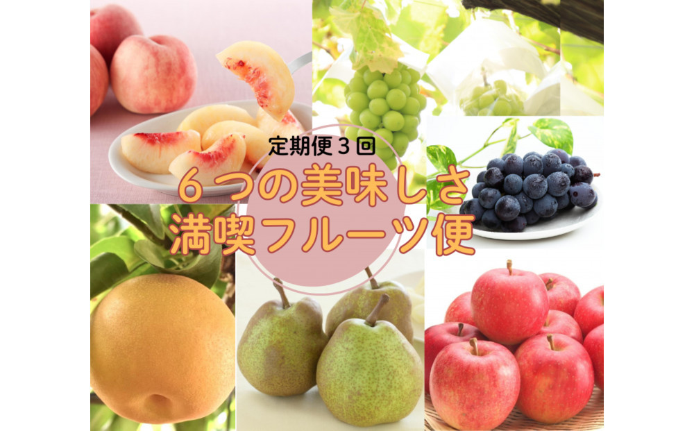 2026年度発送【定期便３回】６つの美味しさ満喫フルーツ便
