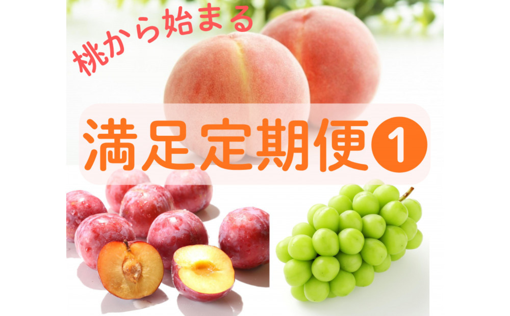 2026年度発送【定期便 ３回】「もも」から始まる　満足定期便 ＊１