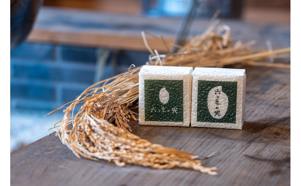 【令和７年度産】贈答用&nbsp;真空パック米&nbsp;六つ季の光&nbsp;個包装（300g×2個）