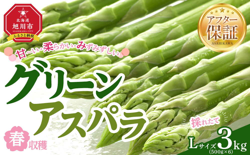 【先行予約】春収穫グリーンアスパラLサイズ（500g×6）約3.0kg（2026年6月上旬から発送開始予定）【&nbsp;アスパラ&nbsp;アスパラガス&nbsp;朝採り&nbsp;とれたて&nbsp;野菜&nbsp;旬&nbsp;小分け&nbsp;保存&nbsp;産直&nbsp;産地直送&nbsp;お取り寄せ&nbsp;旭川市&nbsp;北海道&nbsp;】_05533
