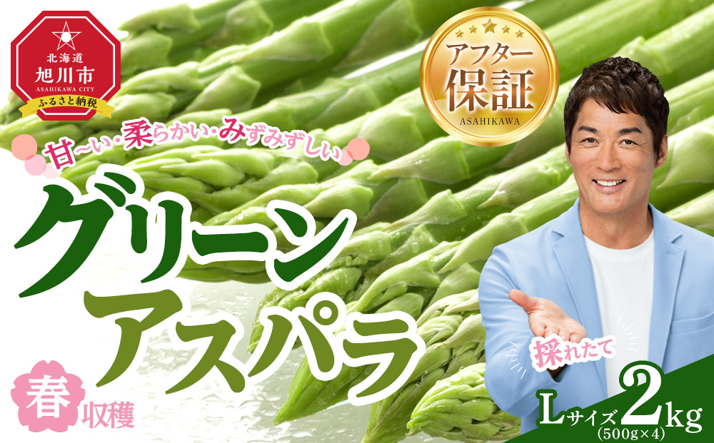 【先行予約】春収穫グリーンアスパラLサイズ（500g×4）約2.0kg（2026年6月上旬から発送開始予定）【 アスパラ アスパラガス 朝採り とれたて 野菜 旬 小分け 保存 産直 産地直送 お取り寄せ 旭川市 北海道 】_05531
