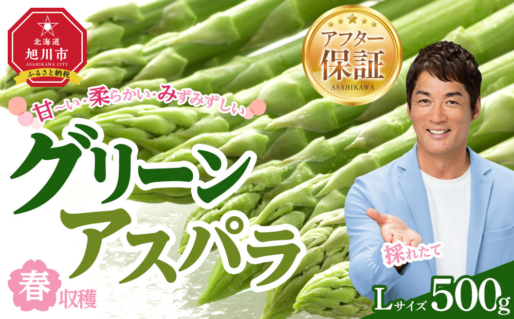 【先行予約】春収穫グリーンアスパラLサイズ　約500g（2026年6月上旬から発送開始予定）【 アスパラ アスパラガス 朝採り とれたて 野菜 旬 小分け 保存 産直 産地直送 お取り寄せ 旭川市 北海道 】_05529