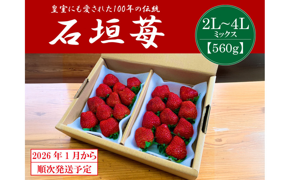 【2026年1月より順次発送】静岡特産・石垣苺　2L～4Lミックス&nbsp;約280g×2パック★紅ほっぺ