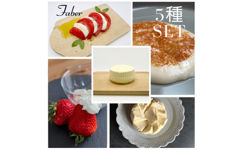 【チーズ職人こだわり】ファーベル5種のチーズセット